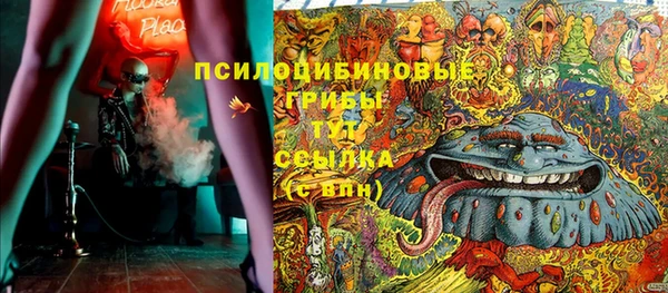 твердый Верхний Тагил