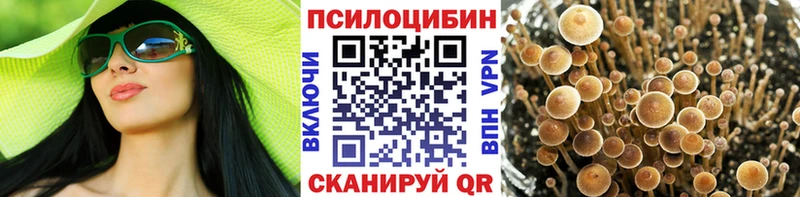 Галлюциногенные грибы Psilocybe  Ува 