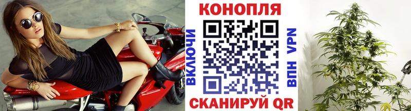 Бошки Шишки VHQ Ува